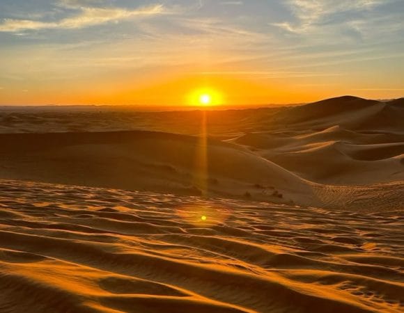 Morning Desert Safari